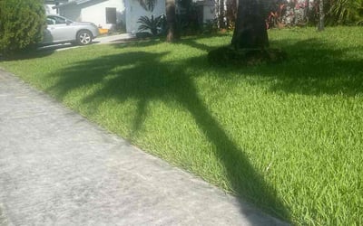 Photo of Iliana T.'s yard after getting lawn care in Cutler Bay, FL