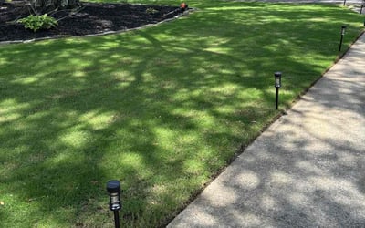 Photo of Bethany B.'s yard after getting lawn care in Richmond, VA