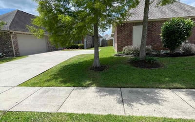Photo of Bj R.'s yard after getting lawn care in Lafayette, LA