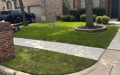 Photo of Charles B.'s yard after getting lawn care in Douglasville, GA