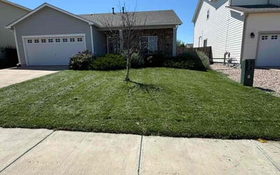 Photo of Cathy T.'s yard after getting lawn care in Peyton, CO
