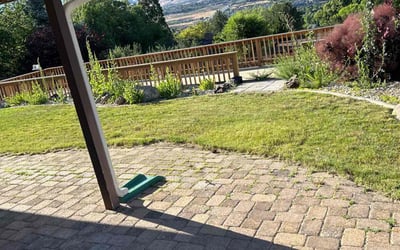 Photo of Ann M.'s yard after getting lawn care in Reno, NV