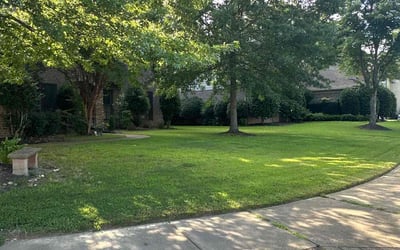 Photo of Patricia C.'s yard after getting lawn care in Herndon, VA