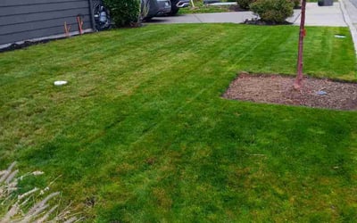 Photo of Roman S.'s yard after getting lawn care in Bremerton, WA