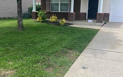 Photo of Ryan M.'s yard after getting lawn care in Fairfield, CT