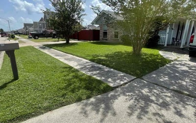 Photo of Kerri P.'s yard after getting lawn care in Demotte, IN