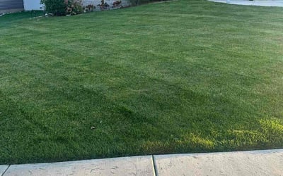 Photo of Ken K.'s yard after getting lawn care in Schererville, IN