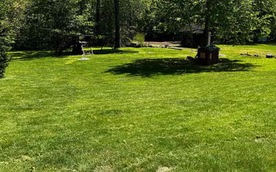 Photo of Chloe M.'s yard after getting lawn care in Bronx, NY