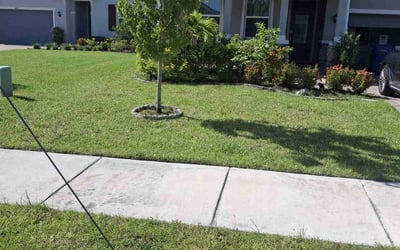 Photo of Vanessa C.'s yard after getting lawn care in Durham, NC