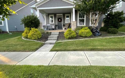 Photo of Valante G.'s yard after getting lawn care in Bolingbrook, IL
