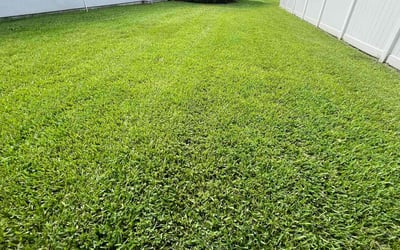 Photo of Kathryn C.'s yard after getting lawn care in La Quinta, CA