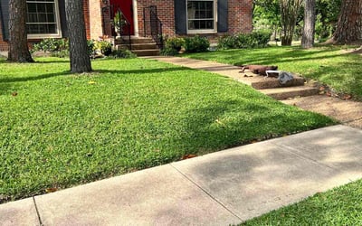 Photo of Makayla R.'s yard after getting lawn care in Houston, TX