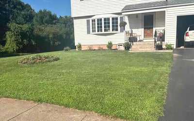 Photo of Sabrina G.'s yard after getting lawn care in Middletown, CT