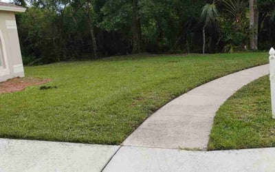Photo of Daphne J.'s yard after getting lawn care in Travelers Rest, SC