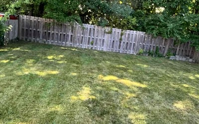 Photo of Sarah B.'s yard after getting lawn care in Blackwood, NJ