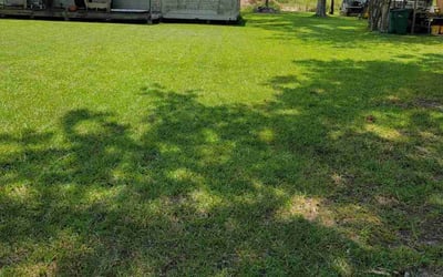 Photo of Anne M.'s yard after getting lawn care in Levittown, NY