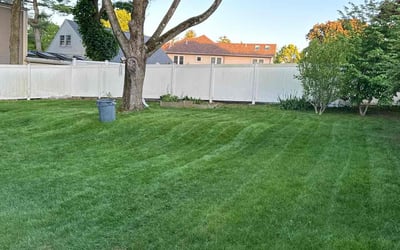 Photo of Pamela M.'s yard after getting lawn care in Stoneham, MA