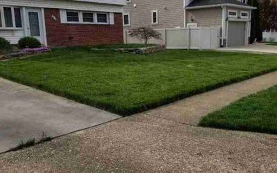 Photo of Richard T.'s yard after getting tree care in Springfield, VA