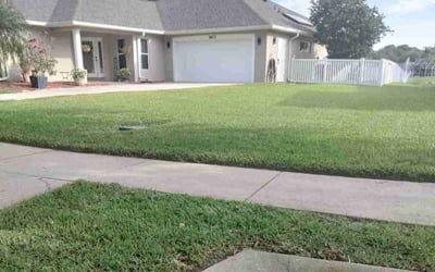Photo of Matthew D.'s yard after getting lawn care in Port Orange, FL