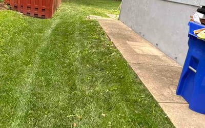 Photo of Jordan S.'s yard after getting lawn care in Fairfield, OH