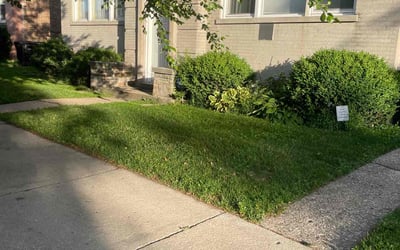 Photo of Jannette P.'s yard after getting lawn care in La Grange Park, IL