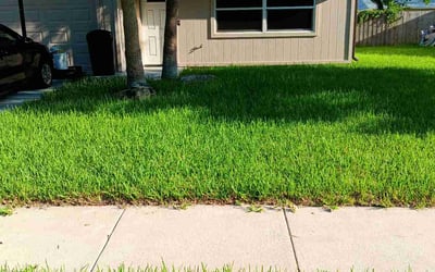 Photo of Jaimie R.'s yard after getting lawn care in Deland, FL