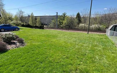 Photo of Megan W.'s yard after getting lawn care in Bethel Park, PA