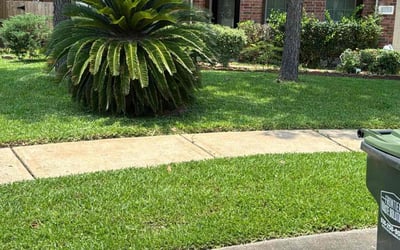 Photo of Chris M.'s yard after getting lawn care in Commack, NY
