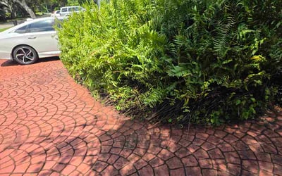 Photo of Jillian C.'s yard after getting lawn care in Wright City, MO