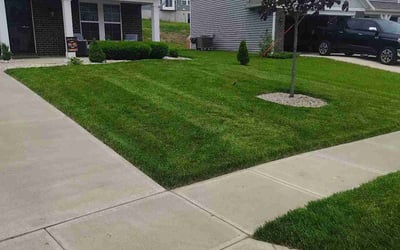 Photo of Daniel R.'s yard after getting lawn care in Clermont, FL