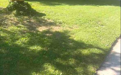 Photo of Hanqing W.'s yard after getting lawn care in Camas, WA