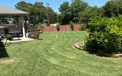 Photo of Leon M.'s yard after getting lawn care in Bristol, CT