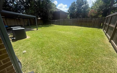 Photo of Damon L.'s yard after getting lawn care in Kalamazoo, MI