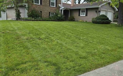Photo of John K.'s yard after getting lawn care in Bloomingdale, IL