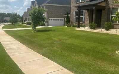 Photo of Junior B.'s yard after getting lawn care in Shakopee, MN