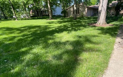 Photo of Myron M.'s yard after getting lawn care in Fort Wayne, IN