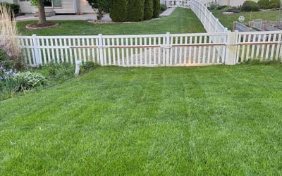 Photo of Priscilla G.'s yard after getting lawn care in Rochester, NY