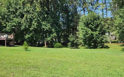 Photo of Susie M.'s yard after getting lawn care in Leicester, NC
