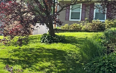 Photo of Hannah F.'s yard after getting lawn care in Arnold, MD