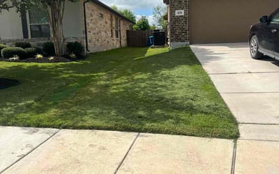 Photo of Danielle H.'s yard after getting lawn care in Cibolo, TX
