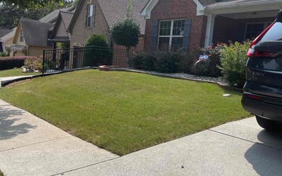 Photo of Nishat S.'s yard after getting lawn care in Buford, GA