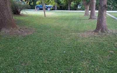 Photo of Kristin T.'s yard after getting lawn care in Saint Joseph, MO
