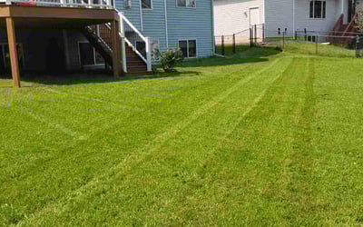 Photo of Dawn W.'s yard after getting lawn care in Richfield, MN