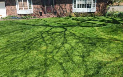 Photo of Jessica P.'s yard after getting lawn care in New Berlin, WI