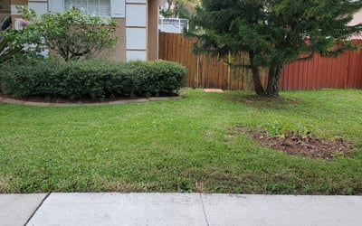 Photo of Gary T.'s yard after getting lawn care in Massapequa, NY
