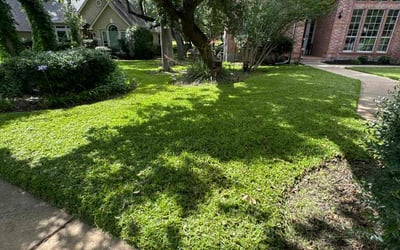 Photo of Christopher H.'s yard after getting lawn care in Taylors, SC