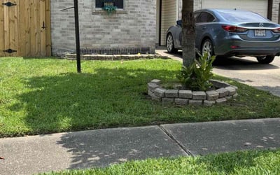 Photo of Cherie F.'s yard after getting lawn care in Hillsborough, NC