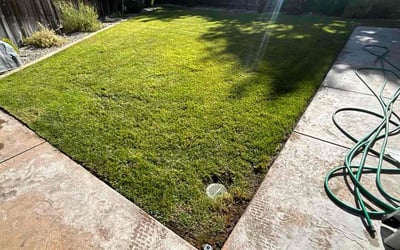 Photo of Kathleen S.'s yard after getting lawn care in Auburn, CA
