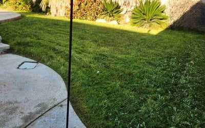 Photo of Kim, C.'s yard after getting lawn care in Tehachapi, CA