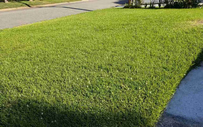 Photo of Jordan B.'s yard after getting lawn care in Virginia Beach, VA